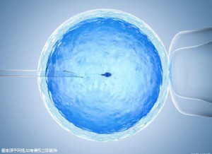 好孕案例